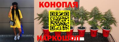 не бодяженный Гусев